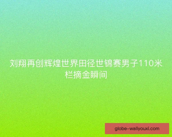 刘翔再创辉煌世界田径世锦赛男子110米栏摘金瞬间